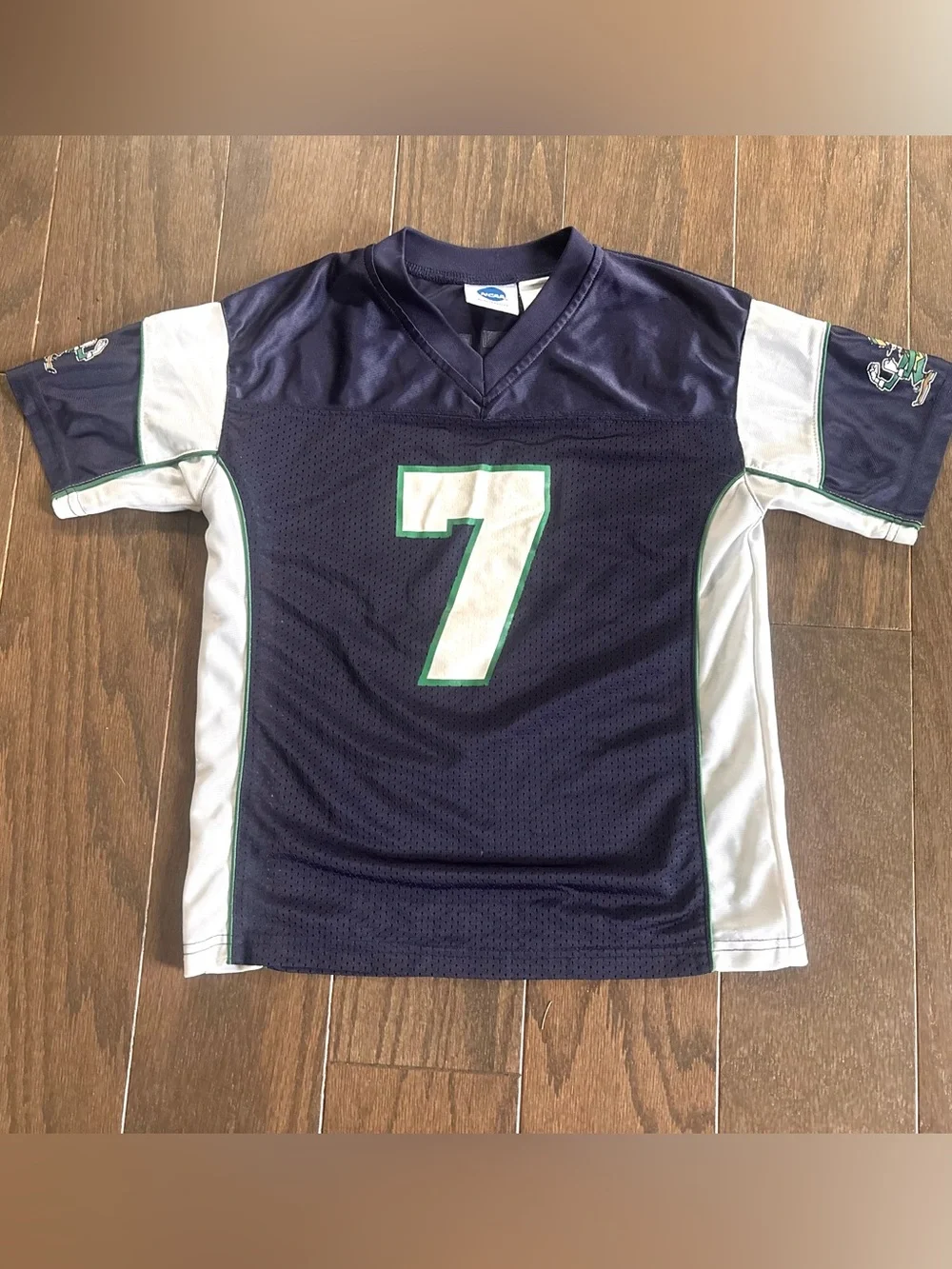 NCAA irish fighting blue